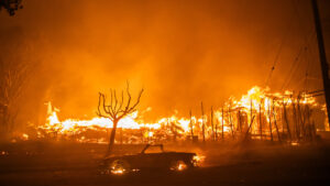 163 WNI Terdampak Kebakaran Besar di LA, California