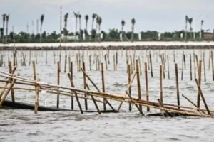ATR/BPN Akan Batalkan SHGB di Laut Sidoarjo