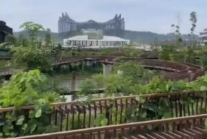Viral IKN Ditumbuhi Ilalang, Netizen: Jadi Hutan Lagi?