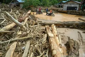 Bupati Tapteng: Alih Fungsi Lahan Hulu Picu Banjir Bandang