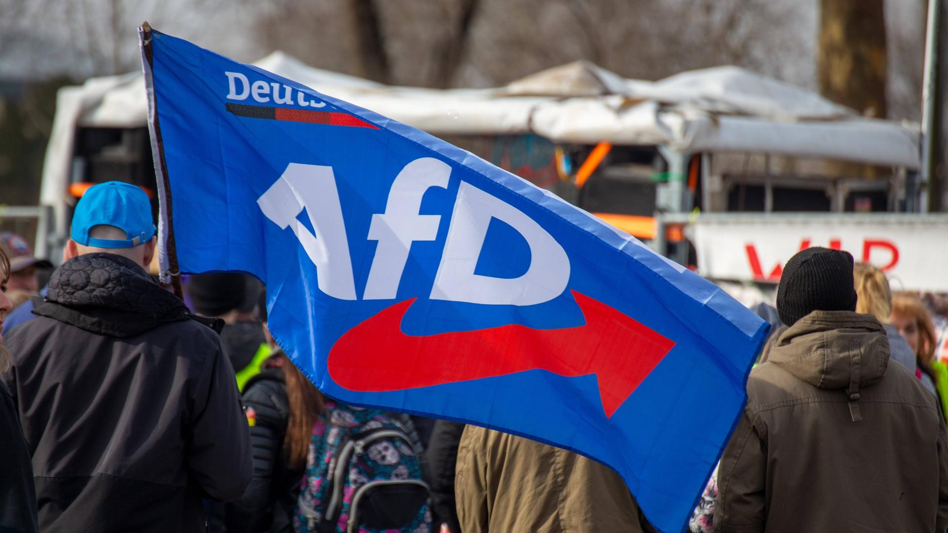 Ungguli Blok Merz, Popularitas Partai Sayap Kanan AfD Tembus 29 Persen