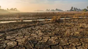 Krisis Pangan Global Terancam Memburuk Akibat Gelombang El Nino Ekstrem