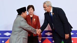 Prabowo: BRICS Wadah Menyatukan Suara Negara Berkembang dan Membentuk Masa Depan