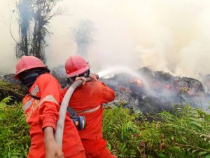 Organisasi Lintas Iman Tegaskan Siklus Karhutla Harus Diputus