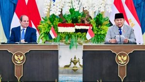 Indonesia dan Mesir Sepakat Perkuat Industri Pertahanan